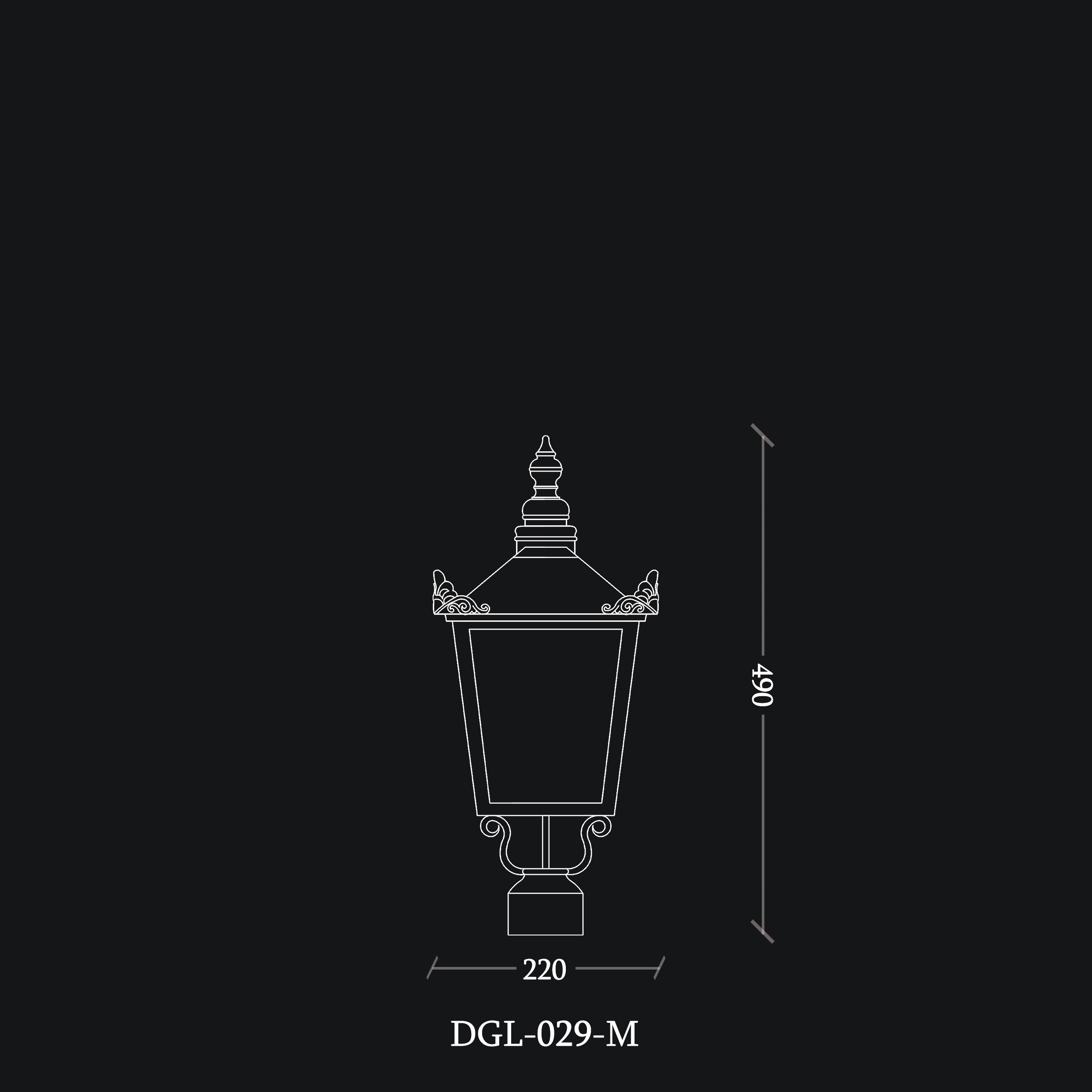 DGL-029-M