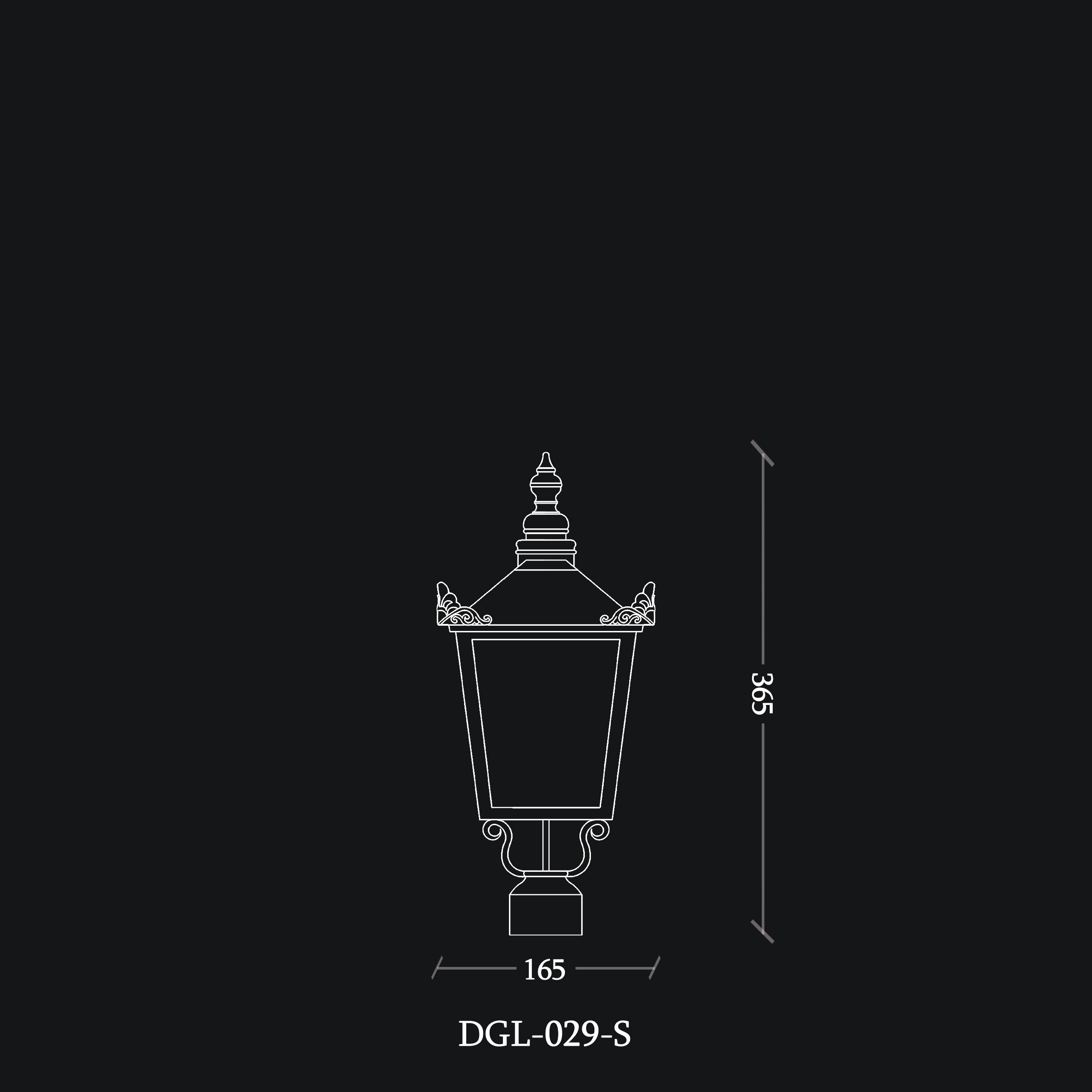 DGL-029-S